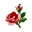 SOCKSSS logo